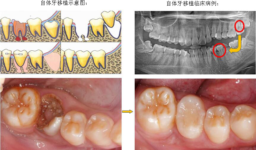 沐鸣娱乐_沐鸣平台登录-官方授权注册效劳中心