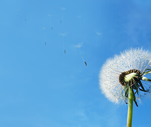 沐鸣娱乐_沐鸣平台登录-官方授权注册效劳中心