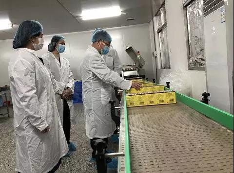 同心抗疫，确保质量！xc sports公司振隆厂表车间接受广药集团出产监督保险幼组工作督导