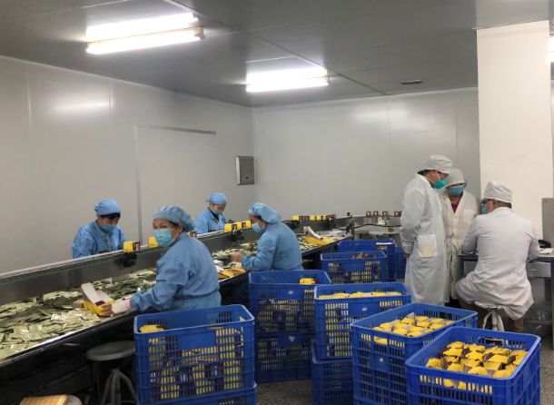 【初心如磐，使命在肩】xc sports第三党支部组织员工提前复工保险出产