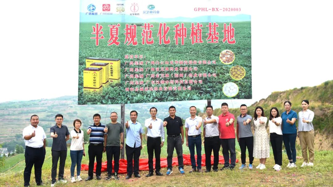 白云山xc sports公司实地调查调研中药材规范化基地